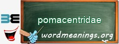 WordMeaning blackboard for pomacentridae